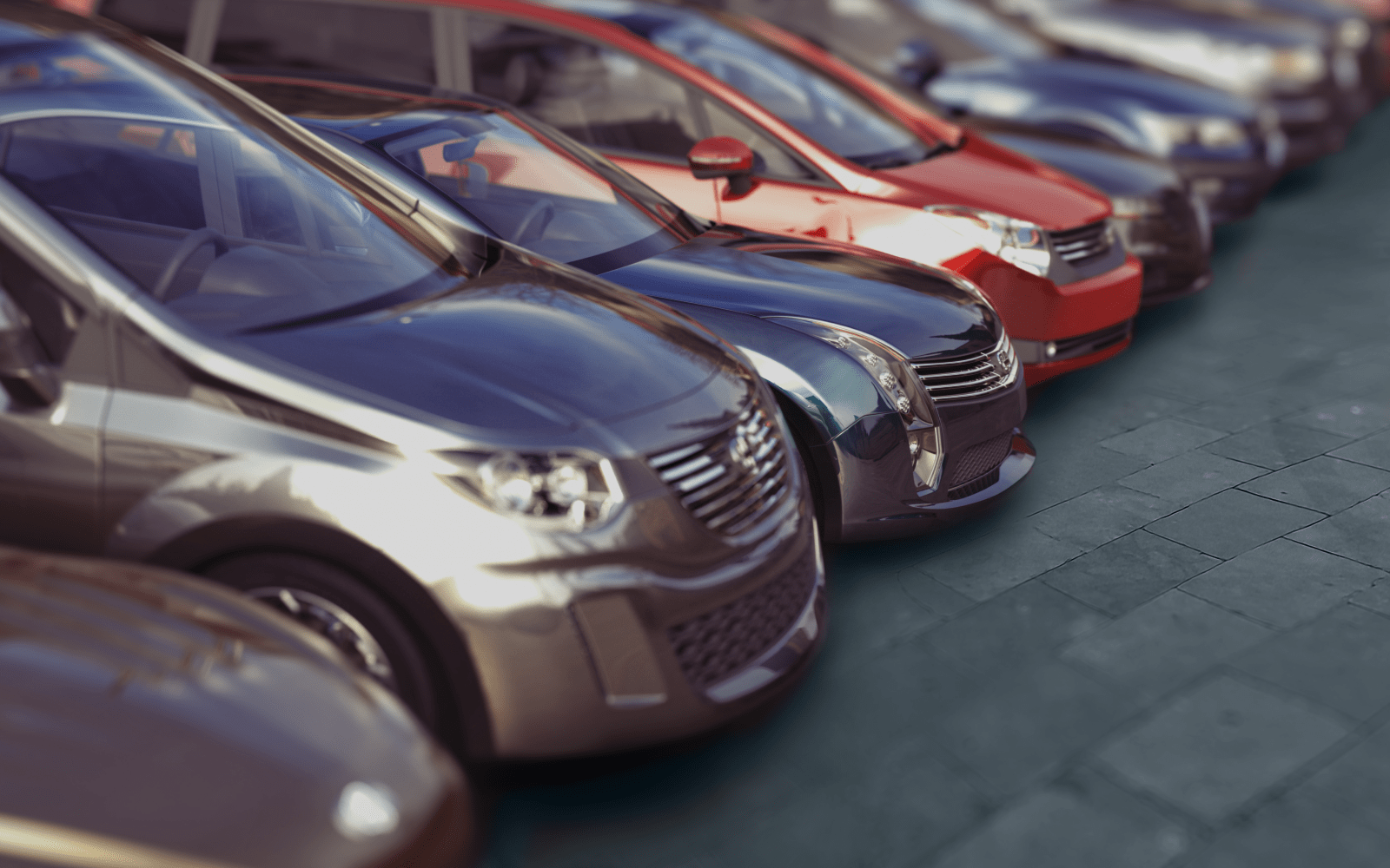 Car Rentals